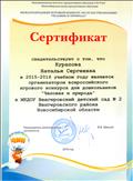 Сертификат организатора Всероссийского игрового конкурса для дошкольников "Человек и Природа"
2016 г.